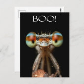 目つきの鋭いトンボ ポストカード (正面/裏面)