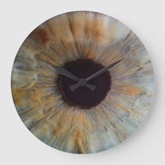 目で見る時間 ラージ壁時計 (正面)