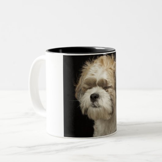 目とのブラウンおよび白いシーズー(犬) Tzuは閉まりました ツートーンマグカップ (正面左)