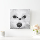 目とノスの輝きの魔法の視線マルチーズ スクエア壁時計 (ホーム)