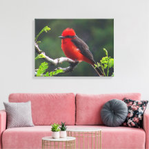 目と目を合わせたストレッチ キャンバス プリント