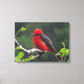 目と目を合わせたストレッチ キャンバス プリント (正面)