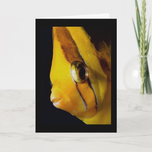 目と目 カード (正面)