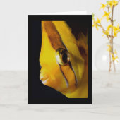 目と目 カード (黄色い花)