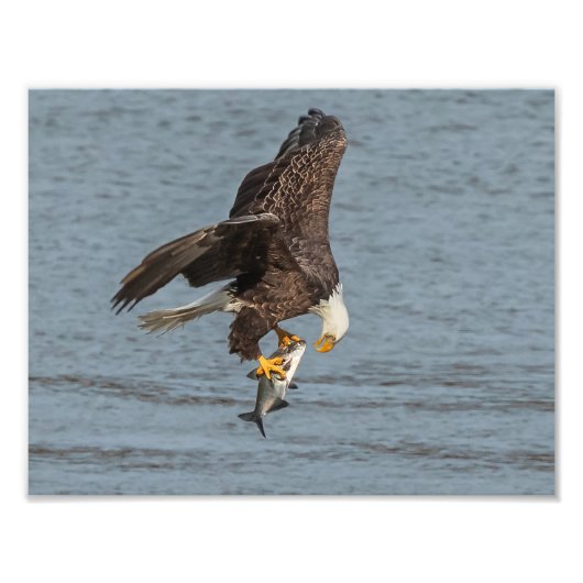 目と目 フォトプリント            (正面)