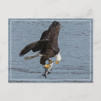 目と目 ポストカード