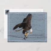 目と目 ポストカード (正面/裏面)