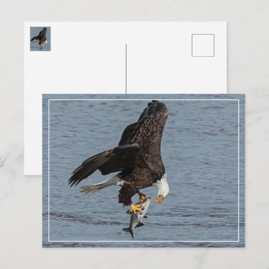 目と目 ポストカード (正面/裏面)