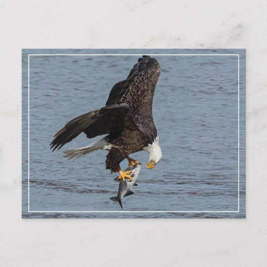 目と目 ポストカード (正面)