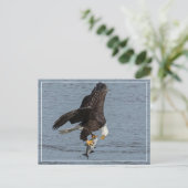 目と目 ポストカード (スタンド正面)