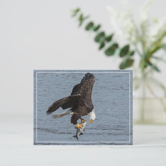 目と目 ポストカード (スタンド正面)