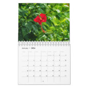 目に見えないバリ島の2019年の写真のカレンダー カレンダー (1月 2026)