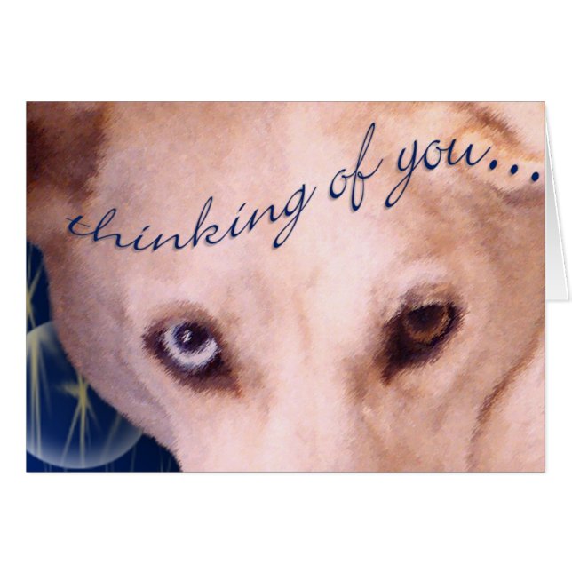 目に見える！ (正面横)