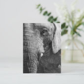 目のスパイ ポストカード (スタンド正面)