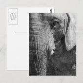 目のスパイ ポストカード (正面/裏面)