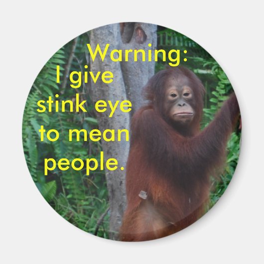 目のボタンを押す マグネット (正面)