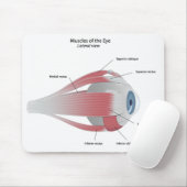 目のマウスパッドの筋肉 マウスパッド (マウス)