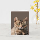 目の付いたかわいいタビー猫の連絡ポートレート カード (黄色い花)