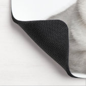 目の前に横たわるブリティッシュ・ショートヘア（2歳） マウスパッド (コーナー)