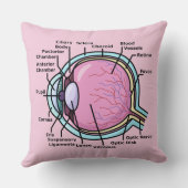 目の図 クッション (裏面)