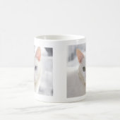 目の変わった白猫クローズアップ顔 コーヒーマグカップ (中央)