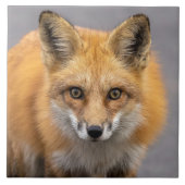 目の大きさ タイル (正面)