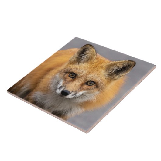 目の大きさ タイル (側面)