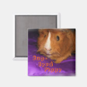 目の大きなギニー豚マグネット マグネット (正面/裏面)