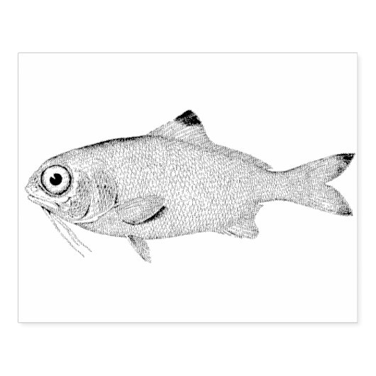 目の広い魚のヴィンテージラバーアートスタンプ ラバースタンプ (インプリント)