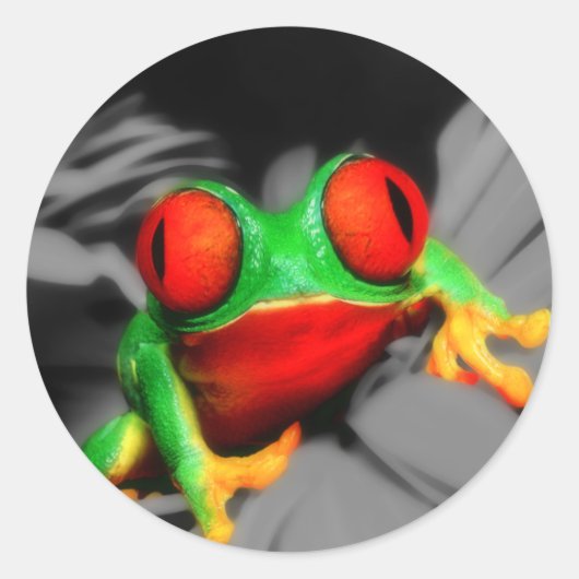 目の悪いカエル ラウンドシール (正面)