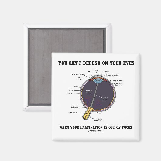 目の想像力に頼るわけにはいかない マグネット (正面/裏面)