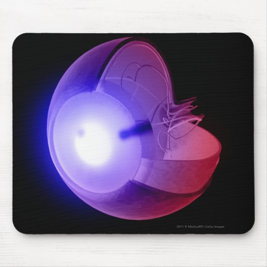 目の構造の表示 マウスパッド (正面)