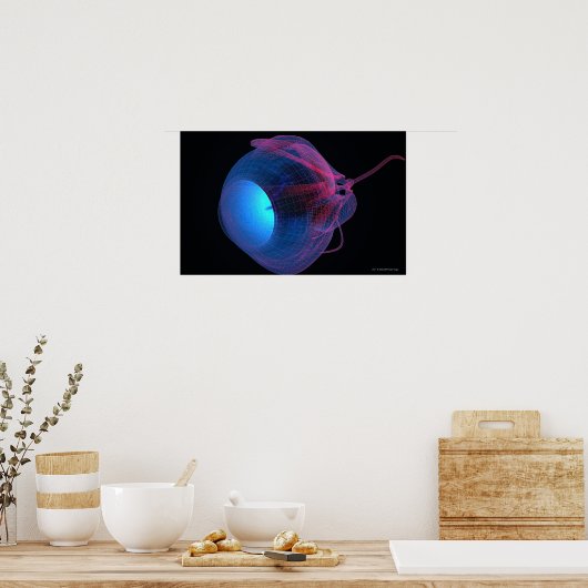 目の筋肉のワイヤフレーム ポスター (キッチン)