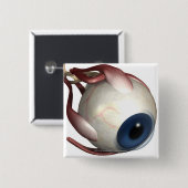 目の筋肉の現実的なレンダリング 缶バッジ (正面&裏面)