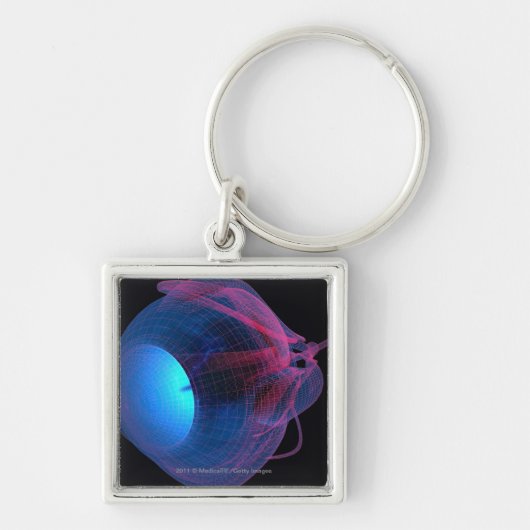 目の筋肉のWireframe キーホルダー (正面)