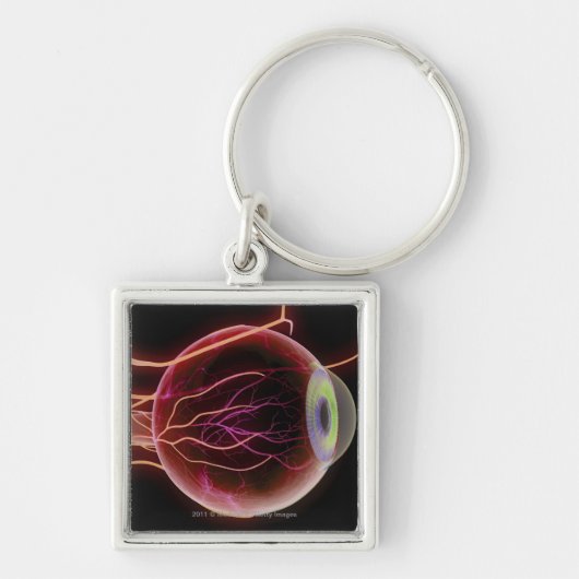 目の血管の側面図 キーホルダー (正面)