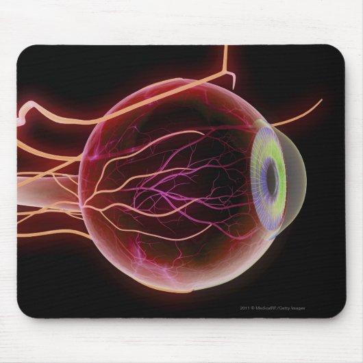 目の血管の側面図 マウスパッド (正面)