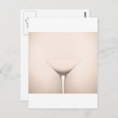 目の錯覚 ポストカード (正面/裏面)