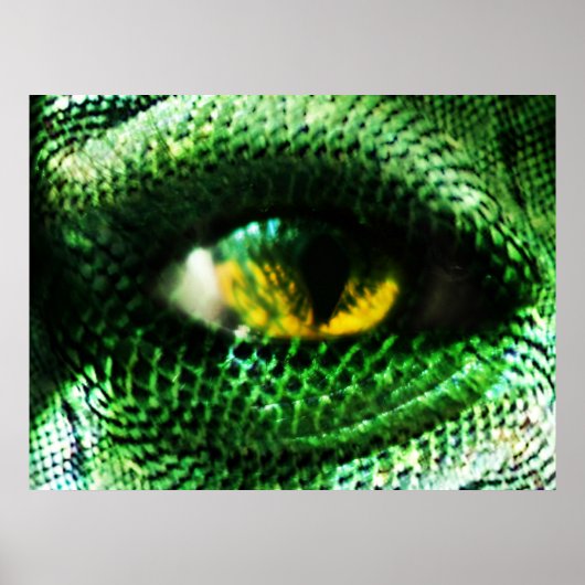 目の… ? ポスター (正面)