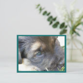 目はがき ポストカード (スタンド正面)