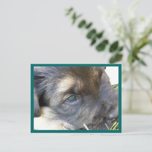 目はがき ポストカード (スタンド正面)