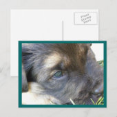 目はがき ポストカード (正面/裏面)