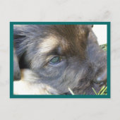 目はがき ポストカード (正面)