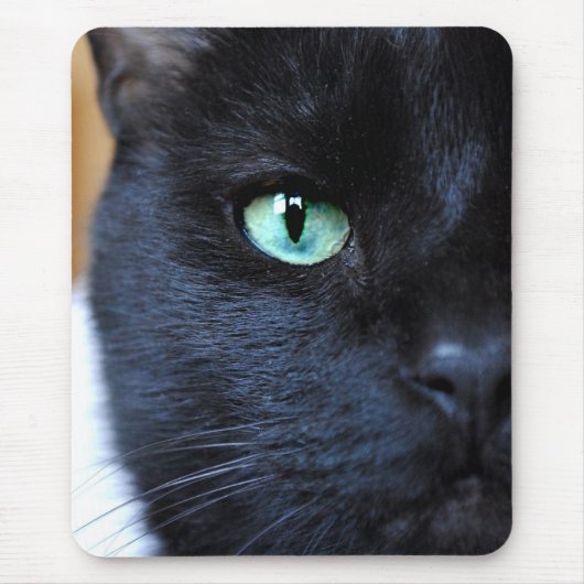 目は黒猫のマウスパッド会います マウスパッド (正面)