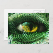 目は… ポストカード (正面/裏面)