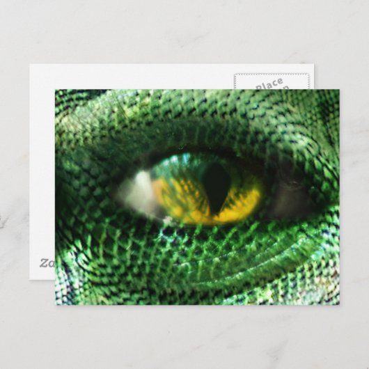 目は… ポストカード (正面/裏面)