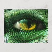 目は… ポストカード (正面)