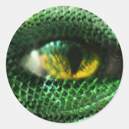 目は… ラウンドシール (正面)