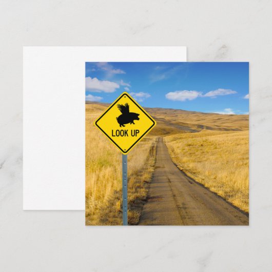 目を上げる ノートカード (正面/裏面)