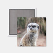 目を凝らす マグネット (正面/裏面)